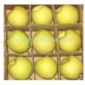 Dangshan su pear/Chinese sweet pear/Shaanxi Gong pear